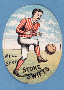 Bien Tiré Stoke Swifts - English School