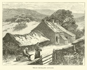 Cottages des landes galloises - English School