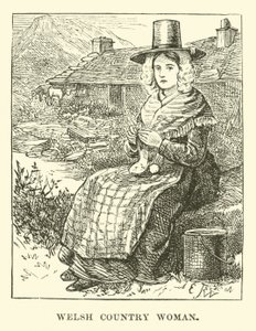Femme de campagne galloise - English School