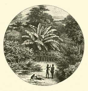Afrique de l