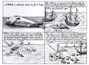 Chasse à la baleine à Spitzbergen en 1611 - English School