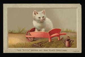 Chat blanc dans une brouette, carte de vœux du Nouvel An (chromolithographie)
