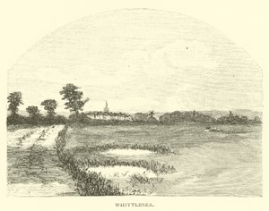 Whittlesea - English School