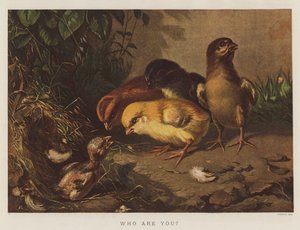Qui êtes-vous ?