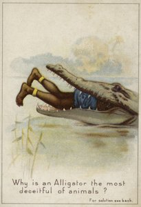 Pourquoi un alligator est-il le plus trompeur des animaux? - English School