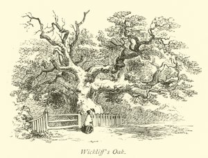 Chêne de Wickliff - English School