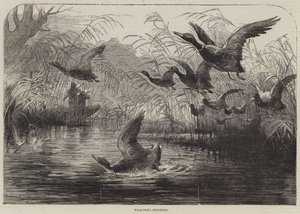 Chasse aux oiseaux sauvages (gravure) - English School