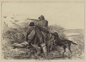 Chasse au Canard Sauvage dans le Norfolk - English School