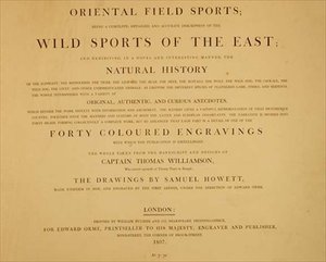 Sports sauvages de l