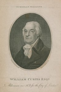 William Curtis, échevin et MP pour la ville de Londres; Lord-maire de Londres 1788 - English School