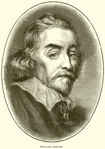 William Harvey - English School