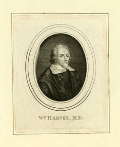 William Harvey - English School