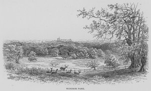 Parc de Windsor (gravure)