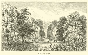 Parc de Windsor