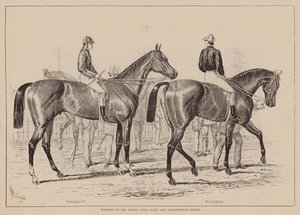Vainqueurs du Middle Park Plate et des Caesarewitch Stakes (gravure) - English School