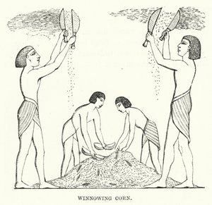 Vannage du blé (gravure)