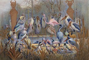 Sage ou autrement, une étude de la vie des oiseaux - English School