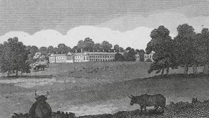 Abbaye de Woburn