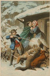 Loup attaqué par des chiens alors qu