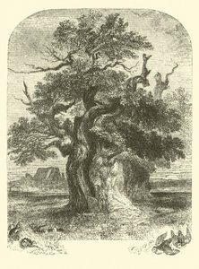 Le chêne de Yardley - English School