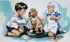 Jeunes vétérinaires - English School