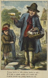 Jeunes agneaux à vendre - English School