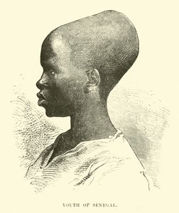 Jeunesse du Sénégal - English School