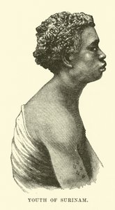 Jeune du Surinam - English School