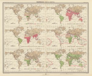 Zoogéographie : Mammalia, Primates, Chiroptères - English School