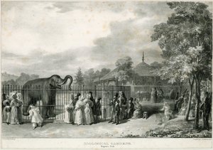Jardins zoologiques, Regents Park - English School