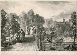Jardins zoologiques, Regents Park - English School