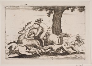 Chasse au cerf