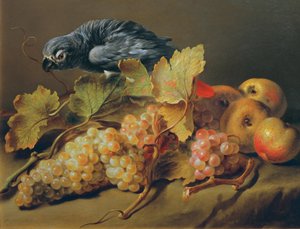 Nature morte avec perroquet et raisins