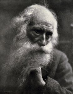 Gros plan du célèbre sculpteur Vincenzo Gemito caressant sa barbe blanche - Ercole Massaglia