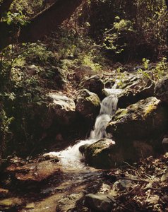 Vallée de Tempe en Thessalie, Grèce (photo)