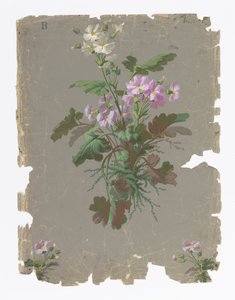 Mur latéral - Ericson and Weiss