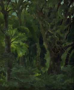 Paysage boisé. "La Forêt nordique"