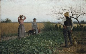 Dans le champ de pommes de terre