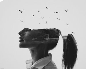  - Erkin Demir