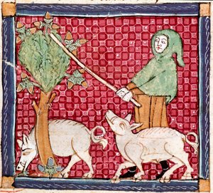 Septembre : cochons mangeant des glands. Miniature du Breviaire d