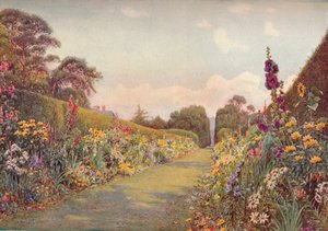 La longue bordure, Holme Lacy, 1903