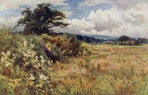 Terrain Élevé - Ernest Benger or Berenger
