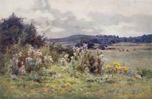 La proximité de la distance - Ernest Benger or Berenger
