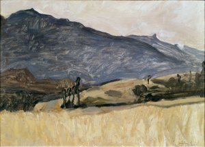 Paysage valaisan