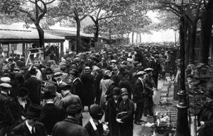 Vue générale du marché aux oiseaux, Paris, 1931