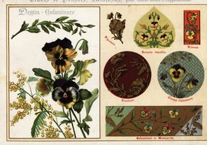 Images de pensées et de mimosa des manuscrits et leur application - Ernest Guillot