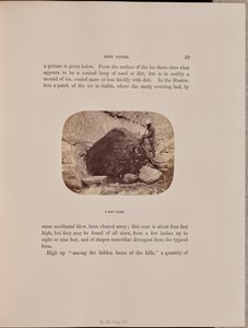 Un cône de saleté