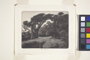 Tonnelle de cyprès - Ernest Haskell