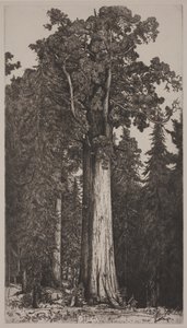 Général Sherman - Ernest Haskell