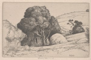 Meule de foin